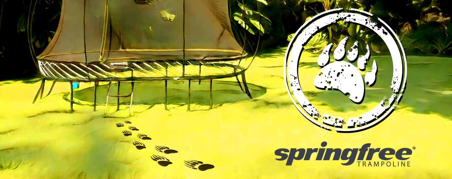 Bears On a Trampoline | Bears Leap, Springfree Trampolines Keep
