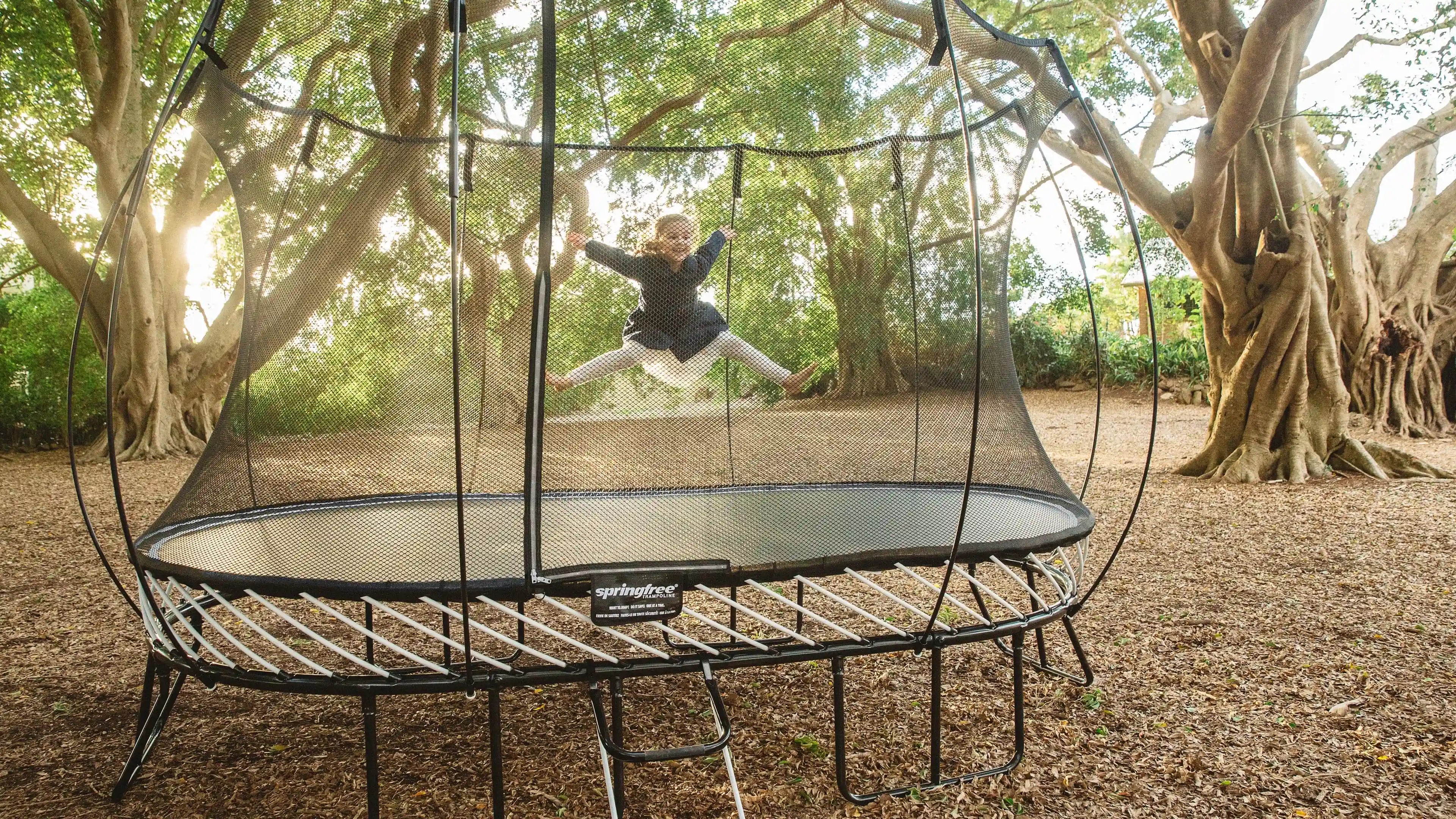 Big lots trampoline best sale